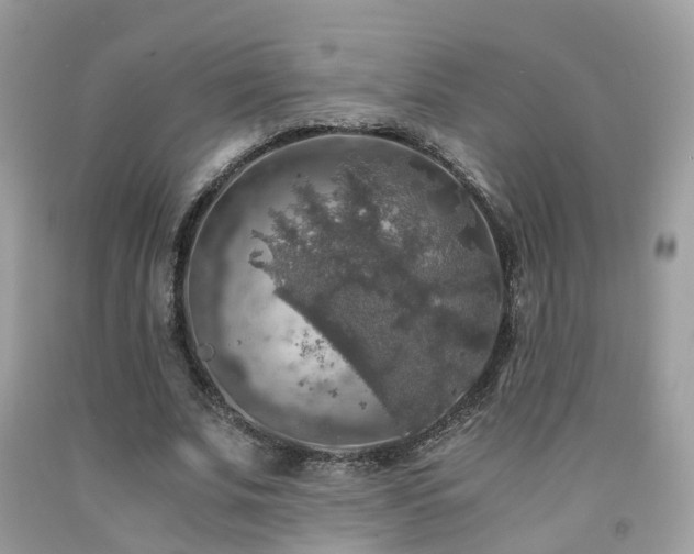 X0000092000679200709061439