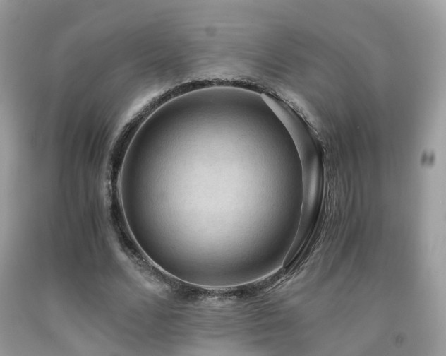 X0000092000680200709061439