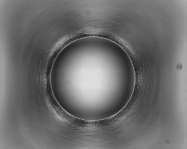 X0000092000682200709061439