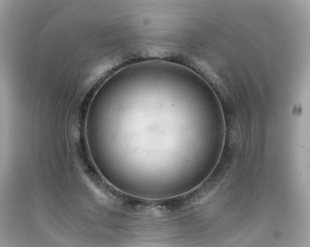 X0000092000683200709061439