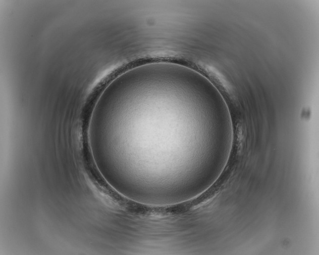 X0000092000684200709061439