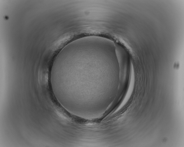 X0000092000685200709061439