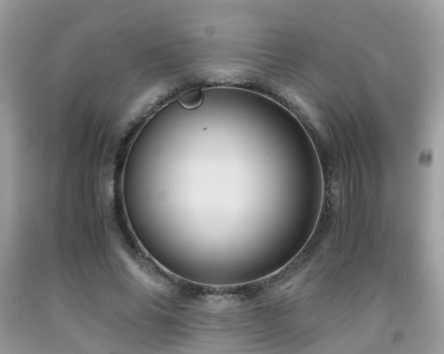 X0000092000686200709061439