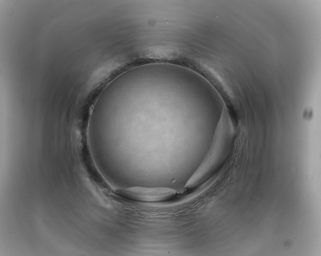 X0000092000688200709061439