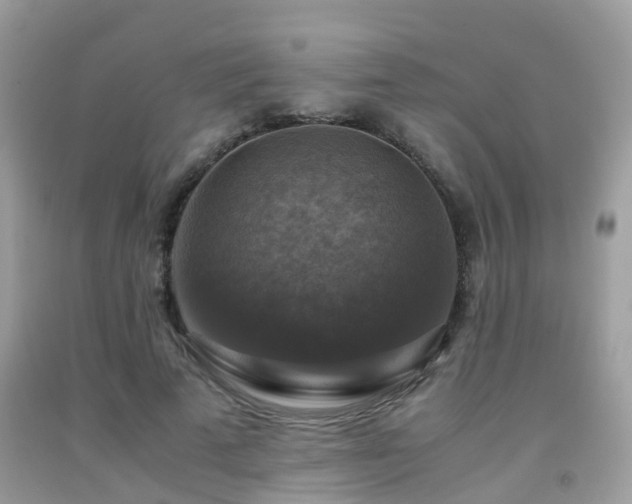 X0000092000689200709061439