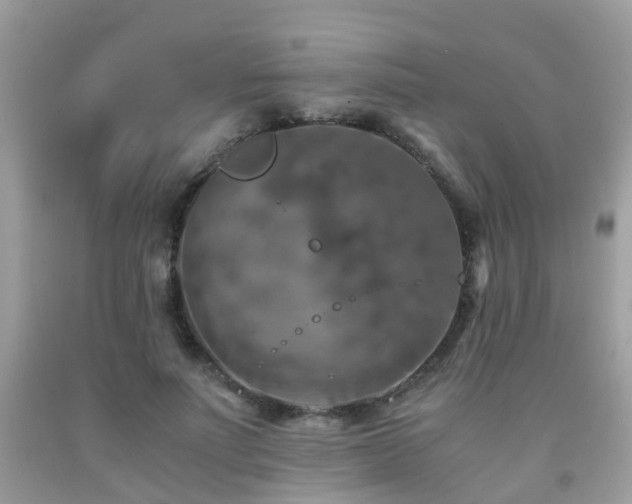 X0000092000691200709061439