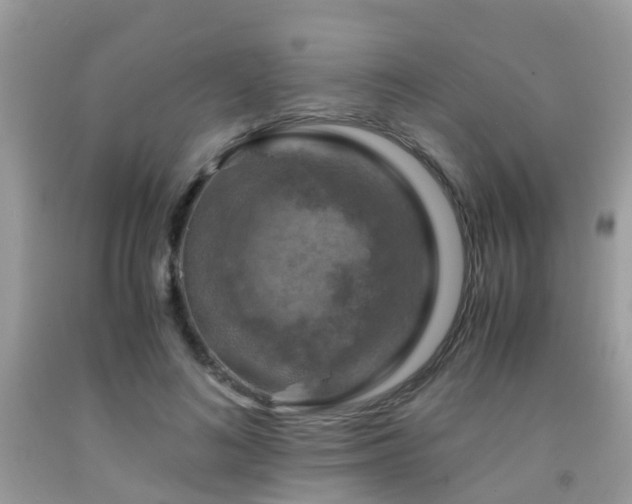 X0000092000692200709061439