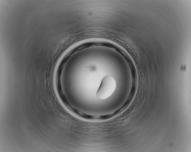 X0000092000697200709061439