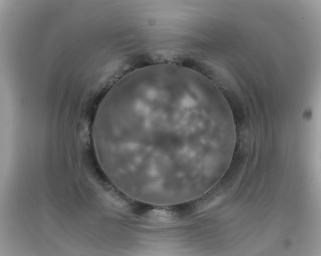 X0000092000699200709061439