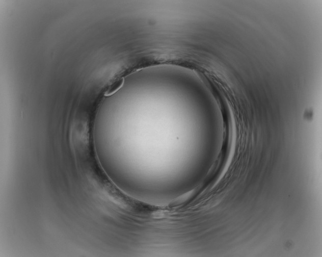 X0000092000700200709061439