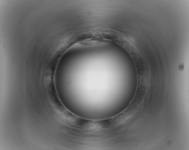 X0000092000702200709061439