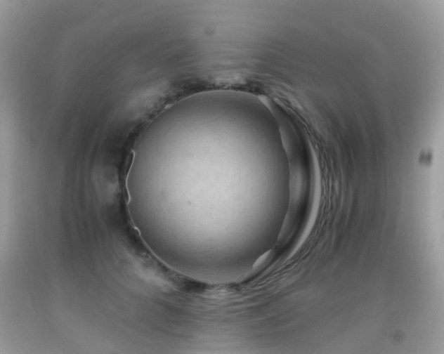 X0000092000704200709061439