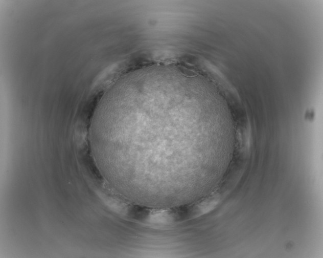 X0000092000705200709061439