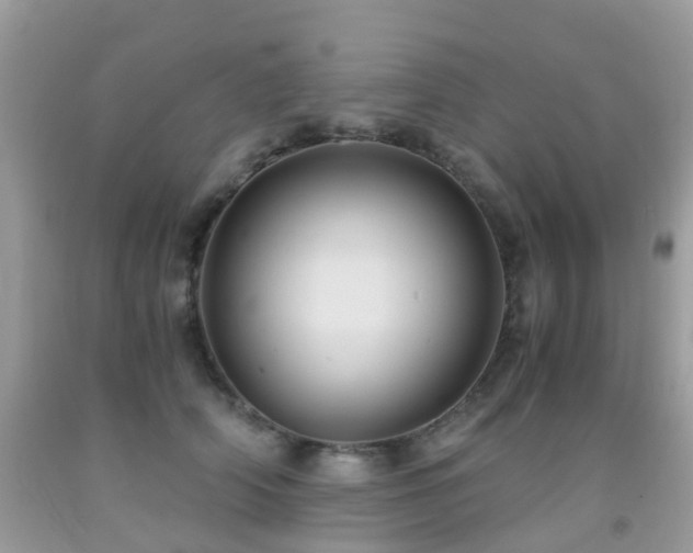 X0000092000706200709061439