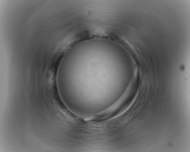 X0000092000708200709061439