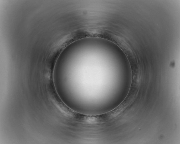 X0000092000710200709061439