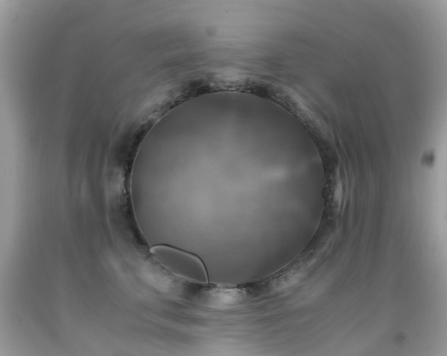 X0000092000711200709061439