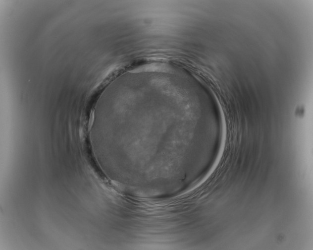 X0000092000712200709061439