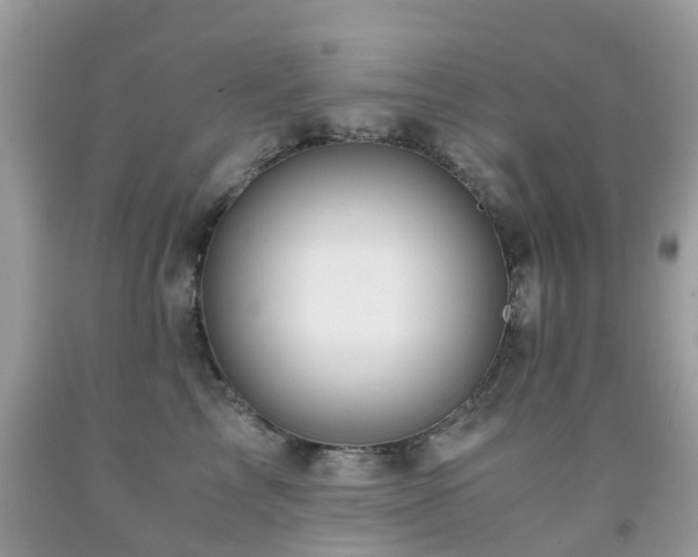 X0000092000713200709061439