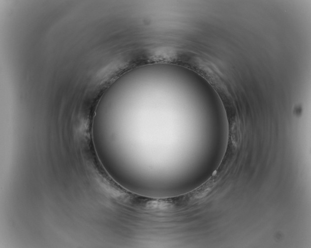 X0000092000714200709061439