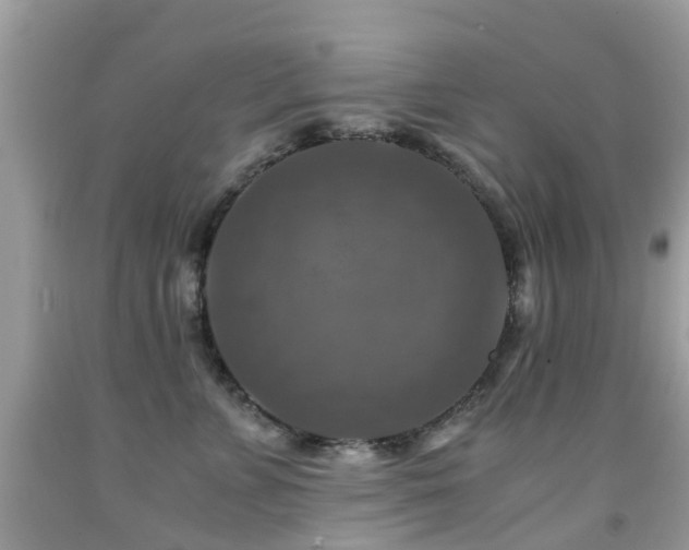 X0000092000715200709061439