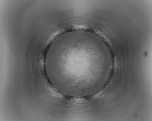 X0000092000716200709061439