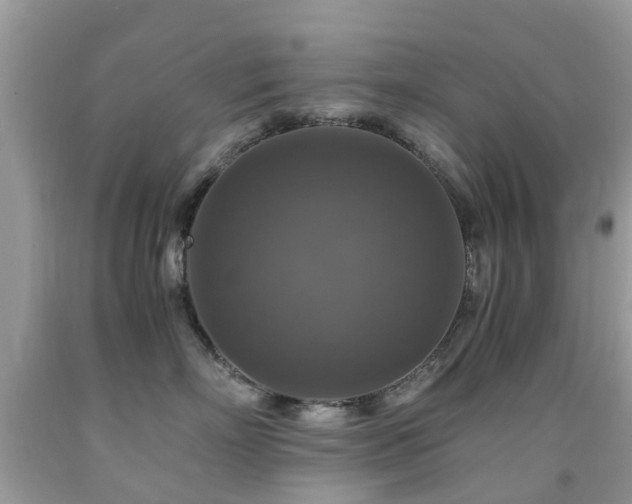 X0000092000718200709061439