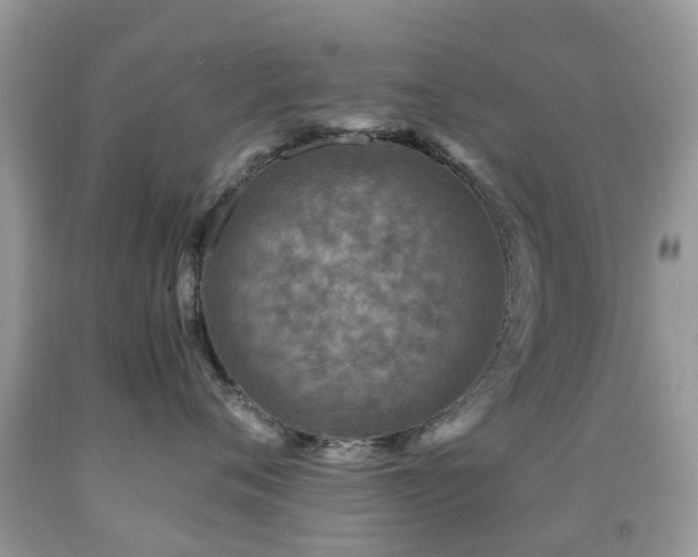 X0000092000720200709061438