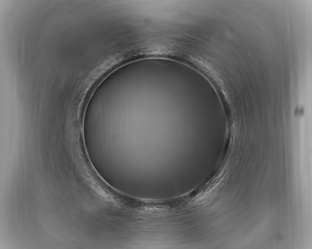 X0000092000721200709061438