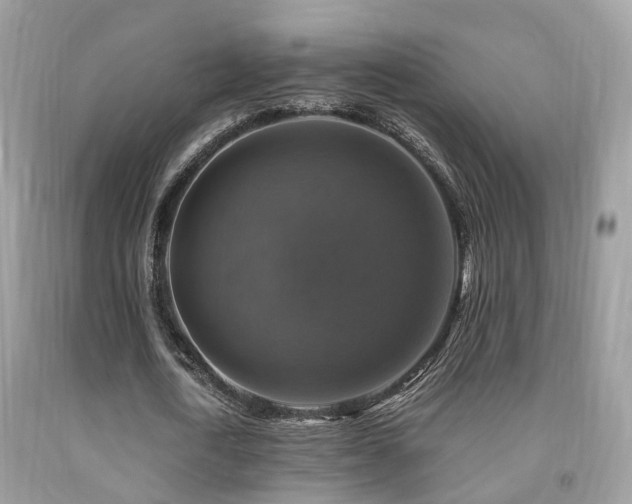 X0000092000722200709061438