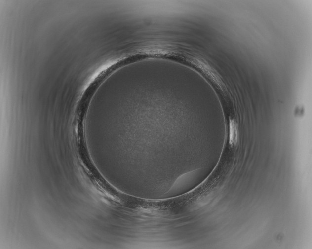 X0000092000723200709061438