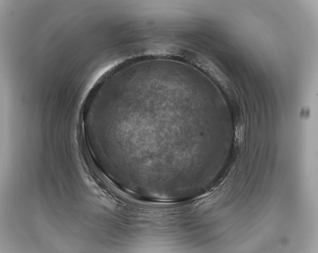 X0000092000724200709061438