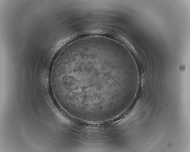 X0000092000725200709061438