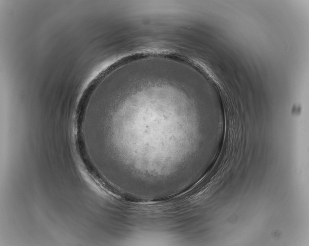 X0000092000726200709061438