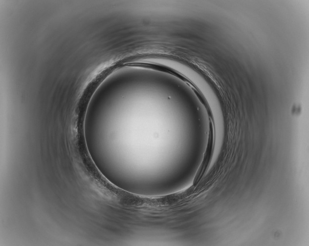 X0000092000727200709061438