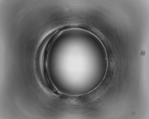 X0000092000728200709061438