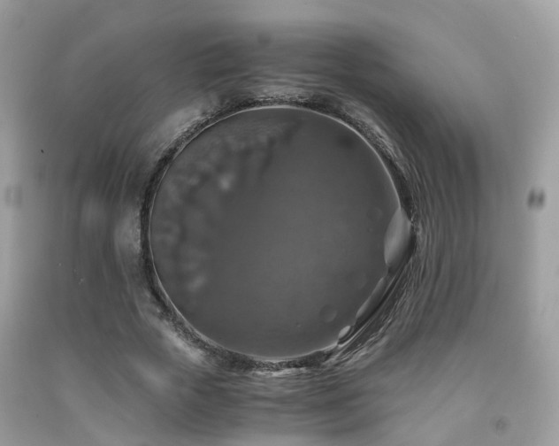 X0000092000729200709061438