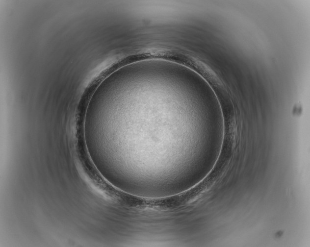 X0000092000730200709061438