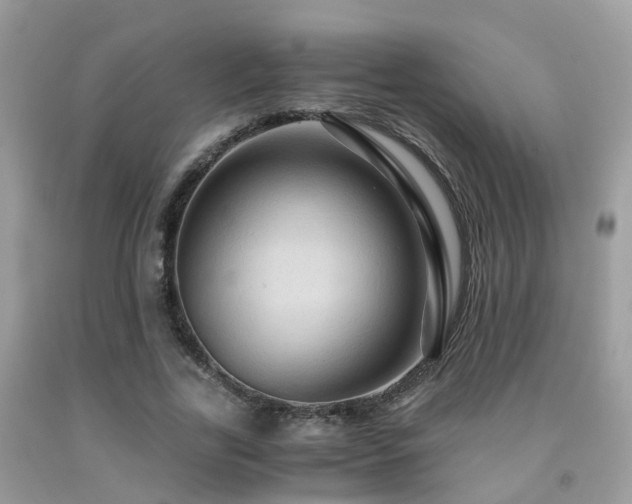 X0000092000731200709061438