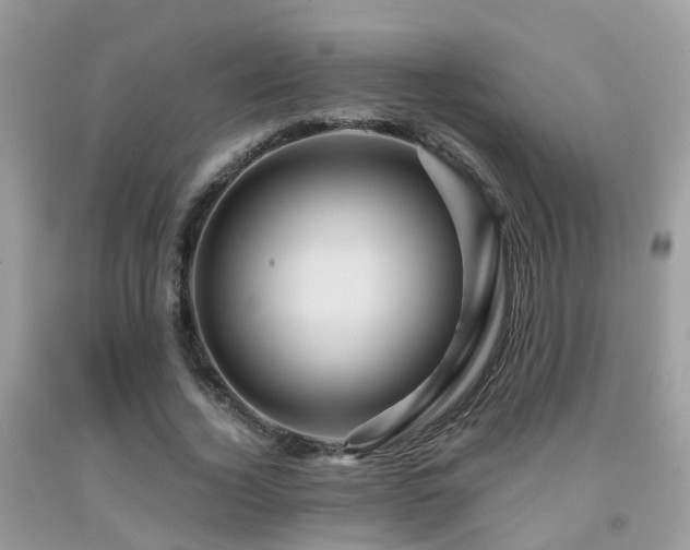 X0000092000732200709061438