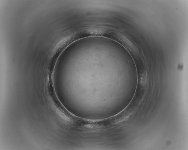 X0000092000733200709061438