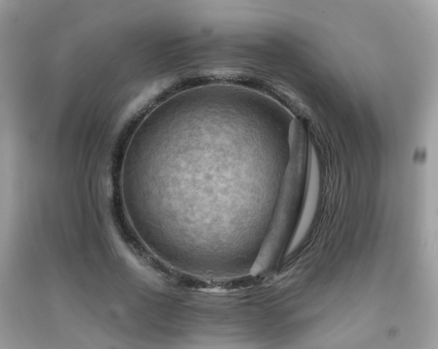 X0000092000734200709061438