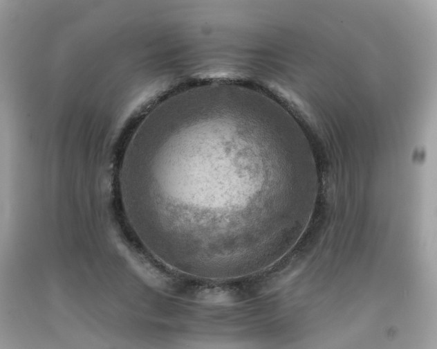 X0000092000735200709061438