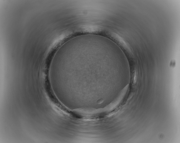 X0000092000736200709061438