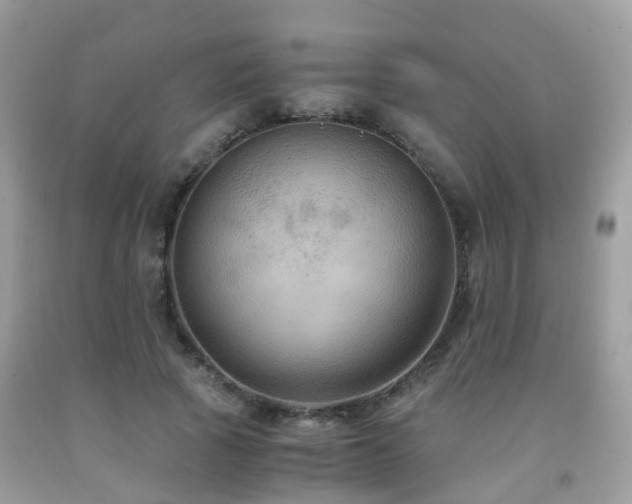 X0000092000737200709061438