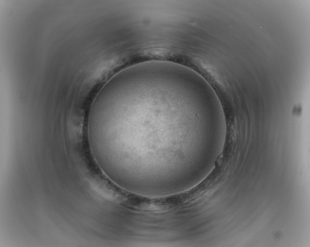 X0000092000739200709061438