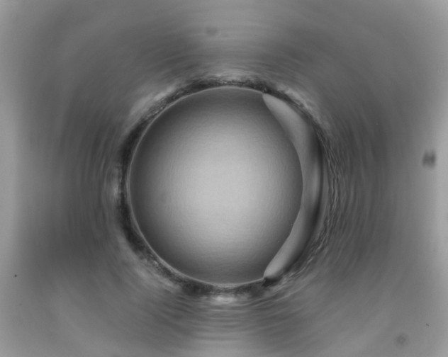 X0000092000740200709061438