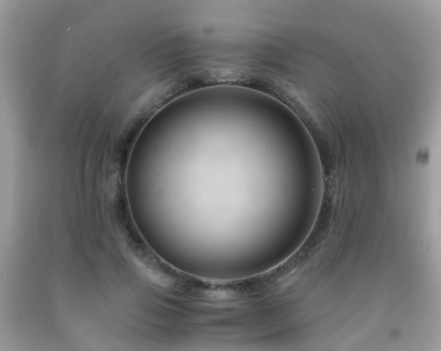 X0000092000741200709061438