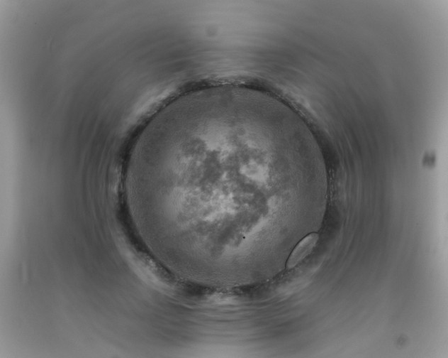 X0000092000742200709061438