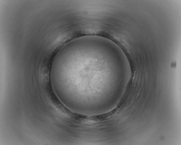 X0000092000743200709061438